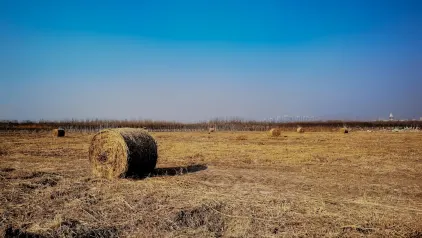 Winzinator Kazino Mobilioji programa